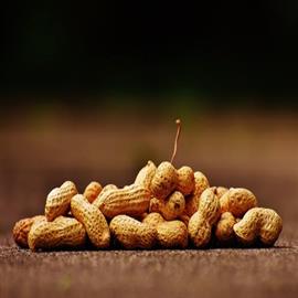 Roasted Peanuts - 1 kg