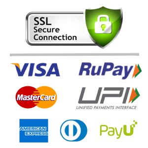 Payment Partner